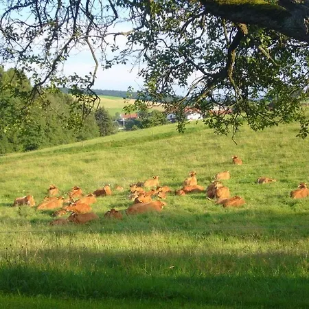 1 Siefertshof Comfortable * Furstengrund