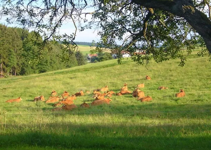 1 Siefertshof Comfortable * Furstengrund